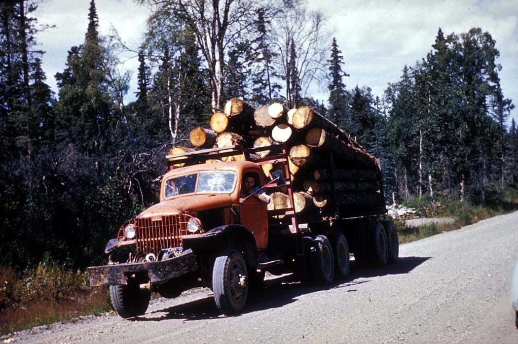 USD Logging